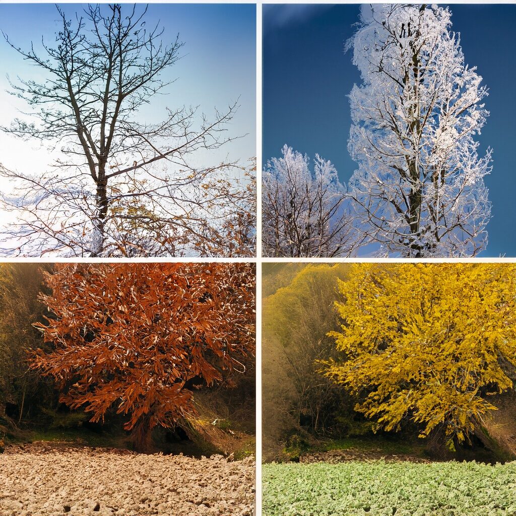 Taşınma İşlemi İçin En İdeal Mevsim Hangisi?