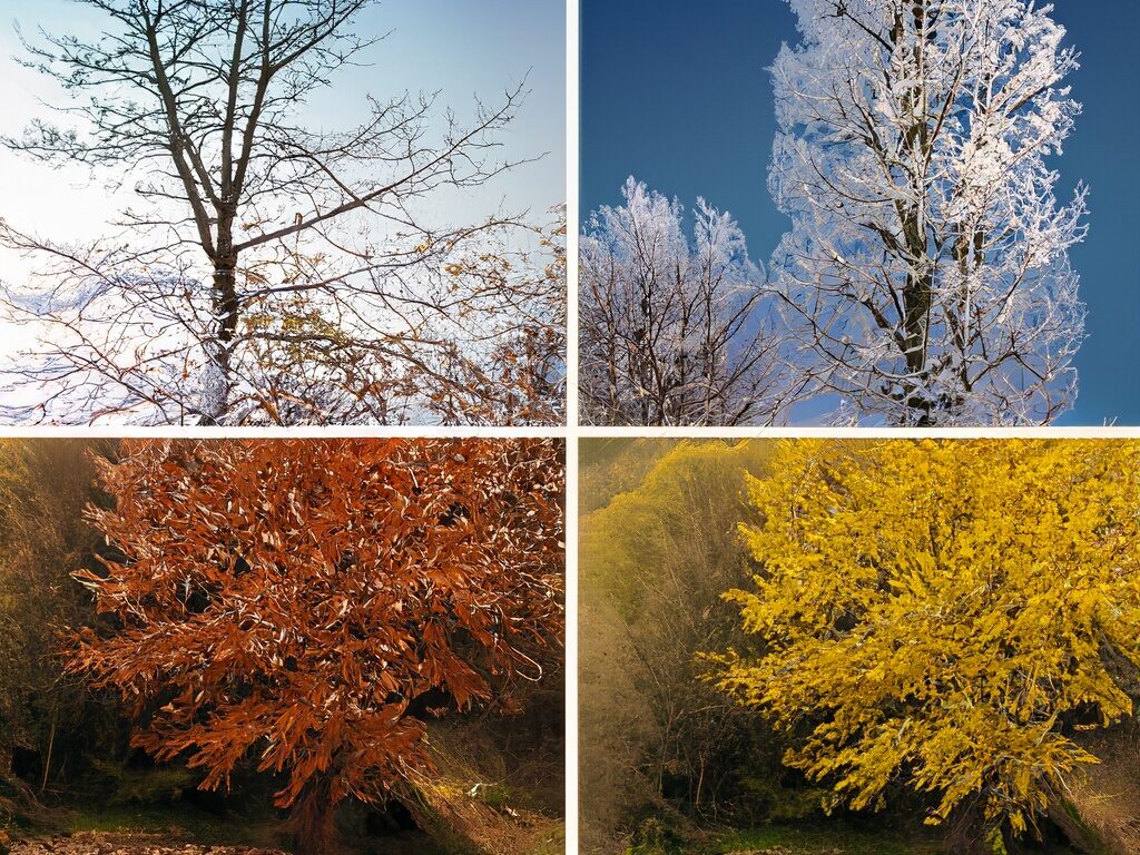 Taşınma İşlemi İçin En İdeal Mevsim Hangisi?